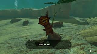 Korok seed number 158 [upl. by Gennie]