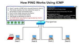 How to Ping Works Using ICMP [upl. by Gallagher3]