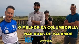 Columbofilia  Família Columbófila  Praia de Paramos Abril 2023  VL21 [upl. by Entirb350]