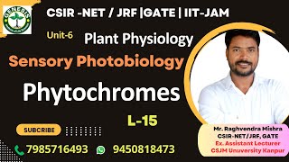 Phytochromes  Sensory Photobiology  Plant Physiology genesisinstitute [upl. by Ardnekan]