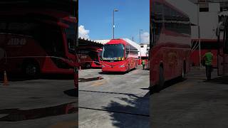 Nuevo Irizar i8 Efficient Mercedes Benz ADO 🔴 ado irizar bus travel shorts [upl. by Annayoj303]