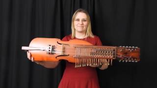 Nyckelharpa Show Trailer [upl. by Nimocks145]