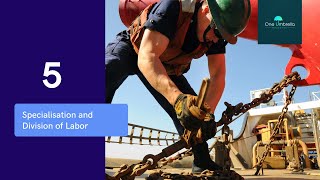 Topic 5 Specialisation amp Division of Labour Business IGCSE O level GCSE AS Level exam prep [upl. by Colwen]