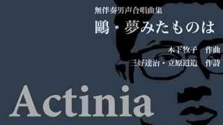 【Actinia】鷗・夢みたものは（木下牧子） [upl. by Nonregla]