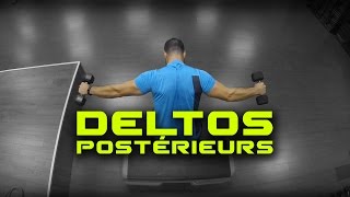 Exercices pour les deltoïdes postérieurs [upl. by Nuawd760]