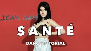 Stromae Santé Dance tutorial [upl. by Renfred770]