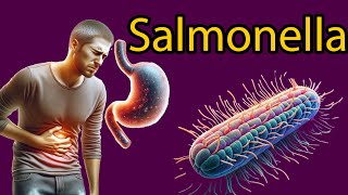 Salmonella Explained Symptoms Treatment and Prevention Tips [upl. by Hamrah535]