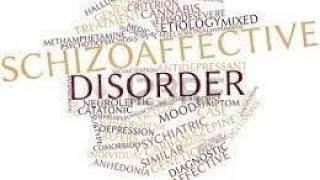 How To Manage Schizoaffective Disorder Interview w Joseph McDermott [upl. by Acinnej]