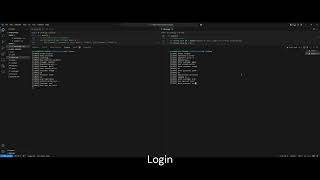 socket programming project phase 1 demo [upl. by Alekehs]