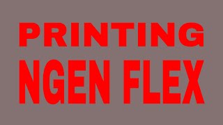 ▼ Printing with Colorfabb NGEN FLEX filament [upl. by Alesig]