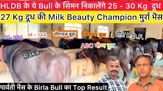 😨HLDB के इन Bull के सिमन निकालेंगे 25 30 Kg दूध10 बुलों के LiveResult Milk BeautyChampion मुर्रा [upl. by Notgnillew]