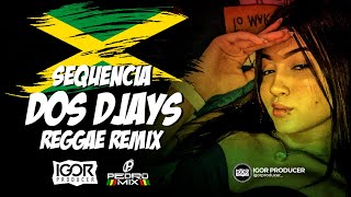 SEQUÊNCIA DOS DJS  Reggae Funk Remix igorproducer amp djpedromixofc [upl. by Nevetse361]