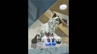 making cat breeds in wcue part 7 warriorcatsultimateedition wcue roblox trending [upl. by Chapen]