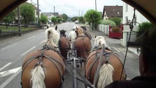 vidéo attelage à 6 chevaux [upl. by Einaffyt48]