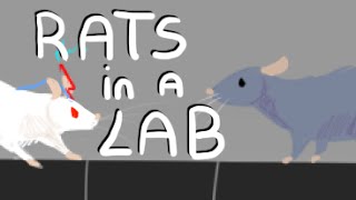 Rats In A Lab 🐀 [upl. by Ennovy]