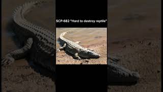 SCP682 quotHard to destroy reptilequot short scpfundation [upl. by Ahsiuqat]