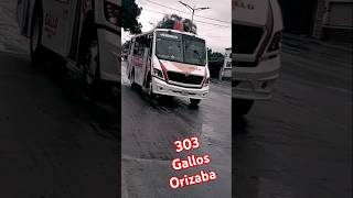 303 gallos Orizaba [upl. by Ahsirt668]