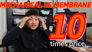 mechanical keyboard VS membrane keyboard： 10 VS 1399 [upl. by Won787]