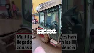 El ejemplo viral de un joven agricultor en Valencia [upl. by Eilujna]