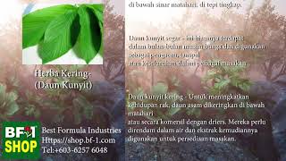 herba kering Polygonum Multiflorum [upl. by Aharon]