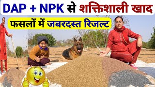 DAP और NPK fertilizer से पावरफुल खाद Ammonium phosphate sulphate fertilizer  2020013 fertilizer [upl. by Otsenre]