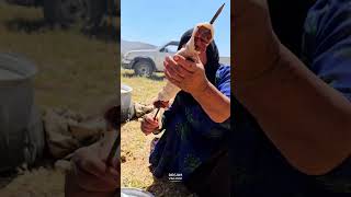 Traditional Bakhtiari Nomads Gathering villagelife cooking nature food [upl. by Hisbe710]