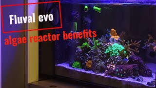 Fluval evo 135 algae reactor [upl. by Us]