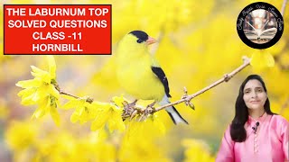 The Laburnum Top  Poem2  Class11  Solved Questions  Important questions  NCERT Syllabus [upl. by Cavuoto]