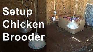 Set Up the Chicken Brooder [upl. by Airbas79]