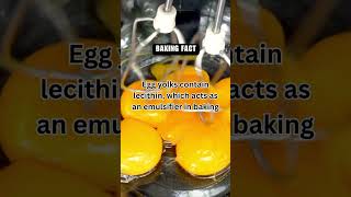 Baking Chemistry The Yolks Emulsifying Power 🥚 [upl. by Borman]