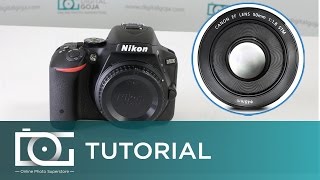 NIKON D5500 TUTORIAL  Can I Use Canon Lenses With This Camera [upl. by Laeynad]