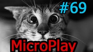 Котейки могут убивать MicroPlay [upl. by Trudnak]