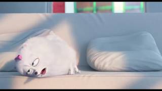 Max amp Gidget  THE SECRET LIFE OF PETS Movie Clip [upl. by Doomham]