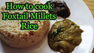 How to cook కొర్రలు rice  how to cook Foxtail Millet Rice  Korralu Rice in Telugu  Millet Recipes [upl. by Berton]