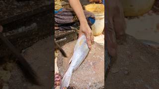 Delicious Giant Poa Fish Cutting Skills In Expert Fish Cutter Live In Fish Market part11 shorts [upl. by Eduardo]