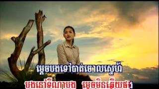 រសៀលថ្ងៃជ្រេ  roseal thngai jrei  by sokun nisa [upl. by Nylcsoj462]