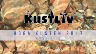 Kustliv  Höga Kusten 2017  Avsnitt 3 [upl. by Alfonso]