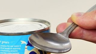 How to Open a Can in an Emergency  Life Hack [upl. by Wilton]