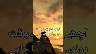 islamic muslim amaalalhabib shayari love halal duaa amallah halalfood [upl. by Loredana]