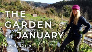 The Allotment Garden in January [upl. by Skcirdnek]