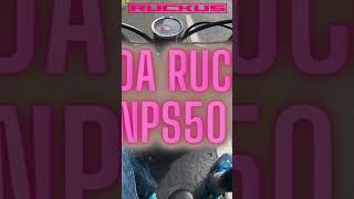 Honda Ruckus NPS50 [upl. by Thorma]