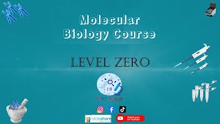 57 nucleic acid structure molecular biology course from AtoZ level zero شرح بيولوجيا جزيئية [upl. by Dragon]