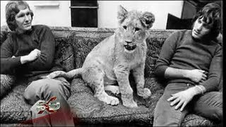 16x9  Wonderful story of Christian the Lion [upl. by Mak164]