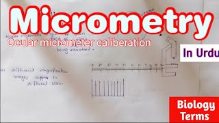 Micrometry  Micrometry in Urdu  Micrometry class 11  Chapter 1 cell structure and function [upl. by Andrea]