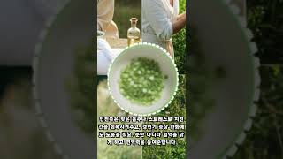 🌿 인진쑥 이렇게 먹으면 효과 UP 💯 🌿 How to Maximize Artemisia Capillaris Benefits 💯 [upl. by Glynnis]