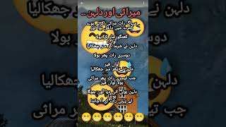 Latifa  molvi jokes  sardar jokes  husband wifes jokes  Pathan jokes  jokes in Hindi  لطیفہ [upl. by Eidak]