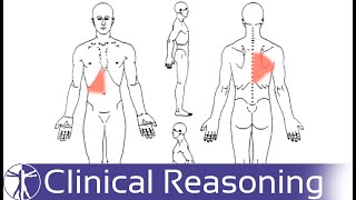 How to find and treat abdominal trigger points  how to self treat trigger point pains [upl. by Vicki]