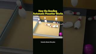 How the Bowling Automatic Pinsetter Works knowledge shortvideo [upl. by Gan]