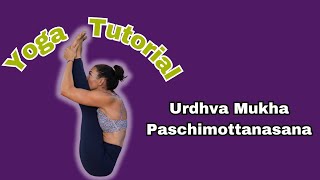 Master The Straight Leg Roll Up In Urdhva Mukha Paschimottanasana [upl. by Anawk715]