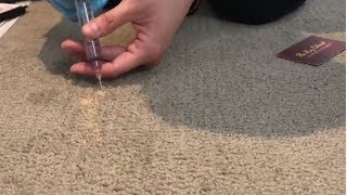 How to repair bleached carpets  The Rug Colorist [upl. by Melville]